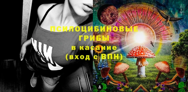 дживик Ладушкин