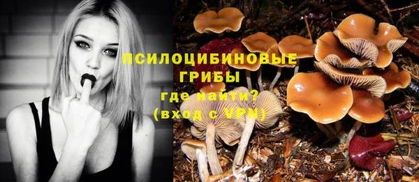 мяу мяу кристалл Липки