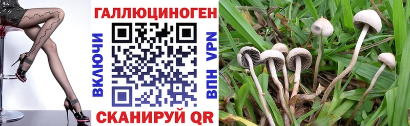 Псилоцибиновые грибы Magic Shrooms  наркошоп  KRAKEN зеркало  Тутаев 